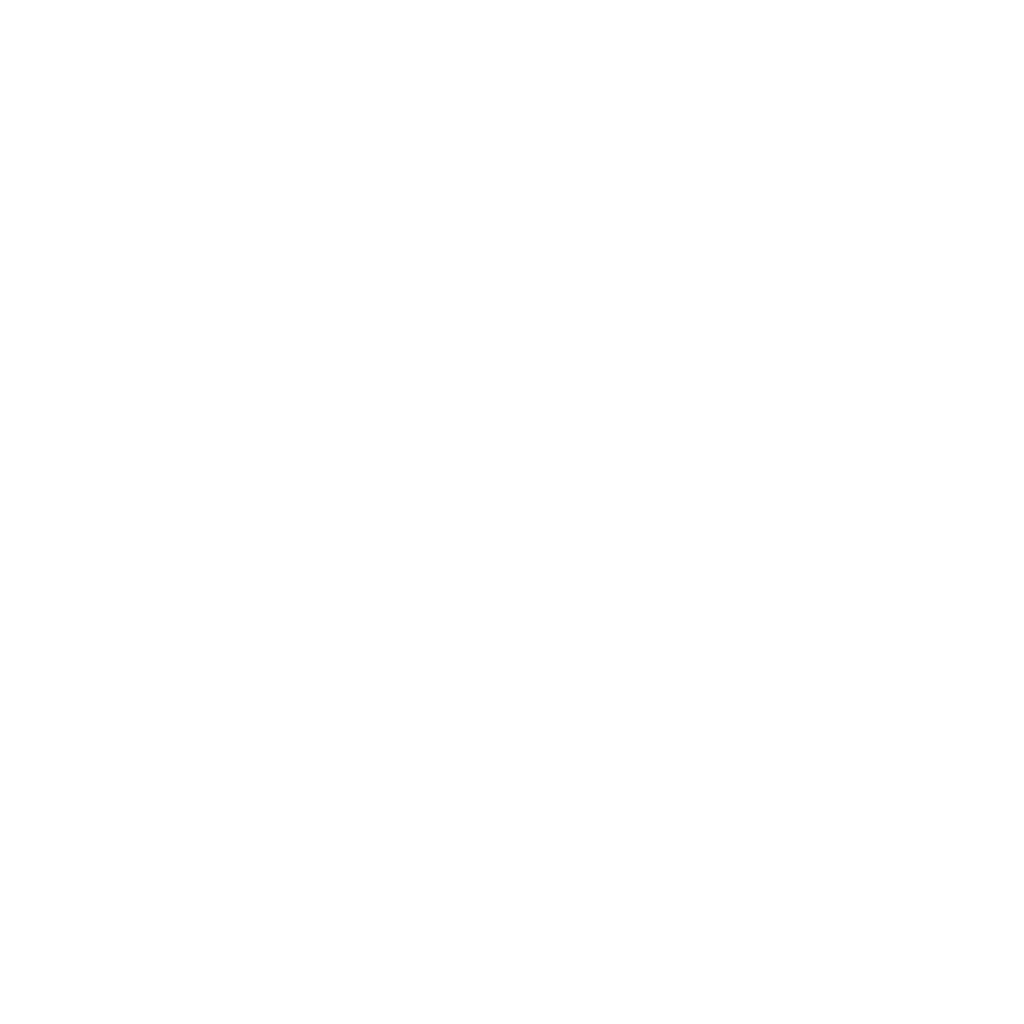 Swisspor