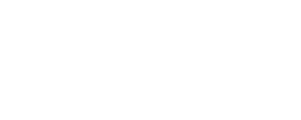 Swisspor